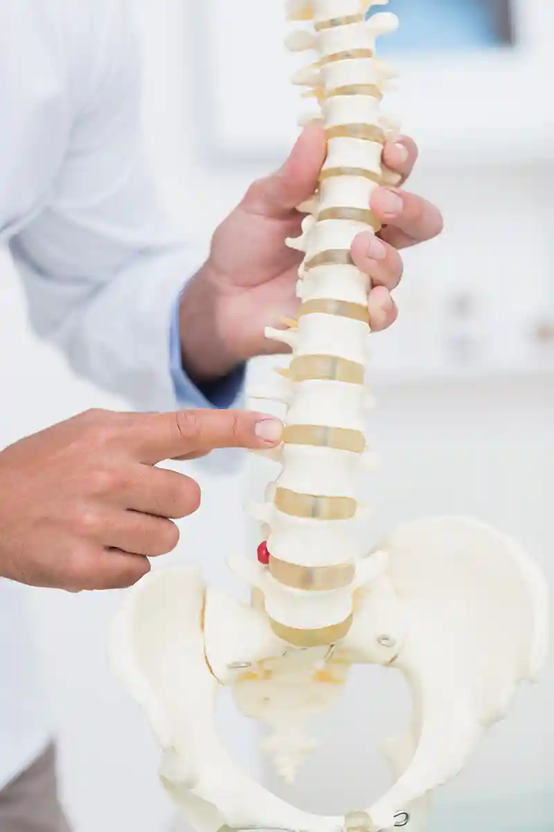 chiropractic cork spine pain